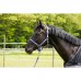 Nylonové ohlávka na koně v barvě fialovo/černá, velikost full